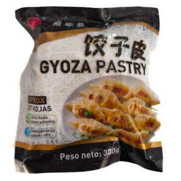 Pasta para gyoza AIYIDUO Wanmei Market